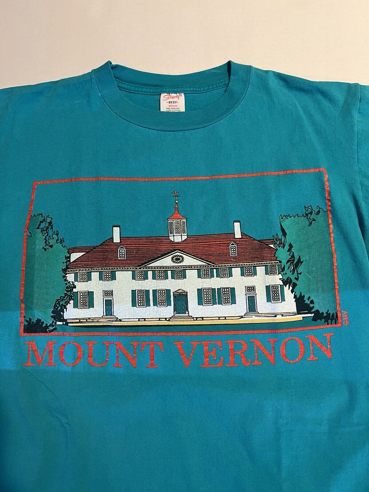 Vintage 90’s Sherry's Best Mountain Vernon MV T-Shirt Medium USA Teal Mens State