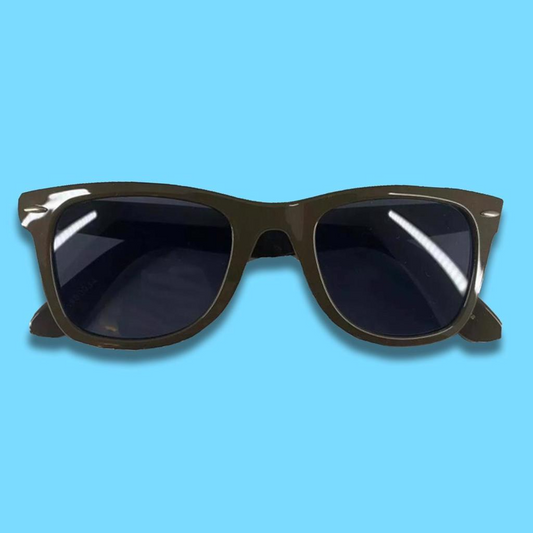 Anti Hero Skateboarding Sunglasses One